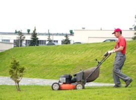 Grounds Maintenance Raleigh