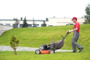 Grounds Maintenance Raleigh